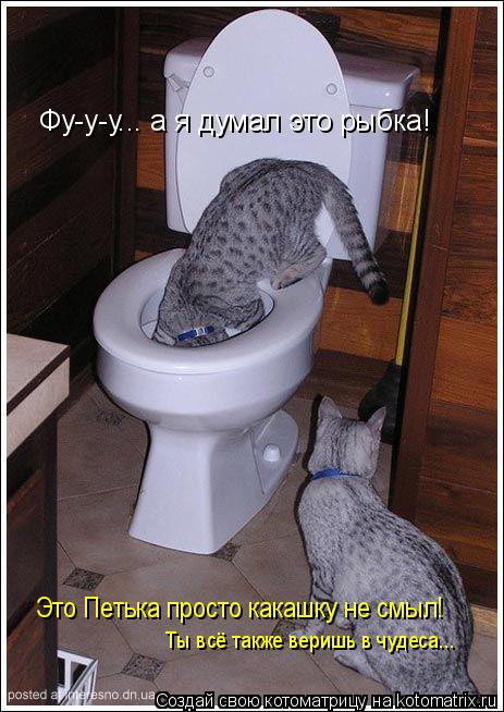 Котоматрица: Фу-у-у... а я думал это рыбка! Это Петька просто какашку не смыл! Ты всё также веришь в чудеса...
