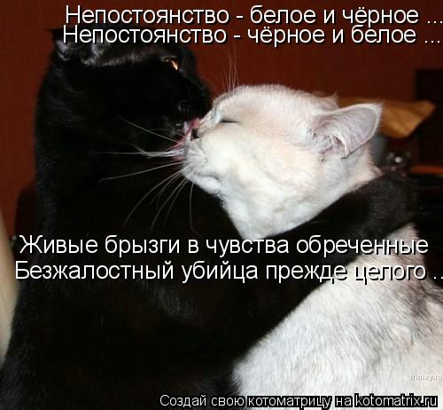 Котоматрица: Непостоянство - белое и чёрное ... Непостоянство - чёрное и белое ... Живые брызги в чувства кипячёные ... Безжалоснный убийца прежде целого . Не
