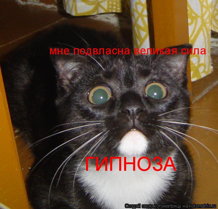 Котоматрица: мне подвласна великая сила  ГИПНОЗА