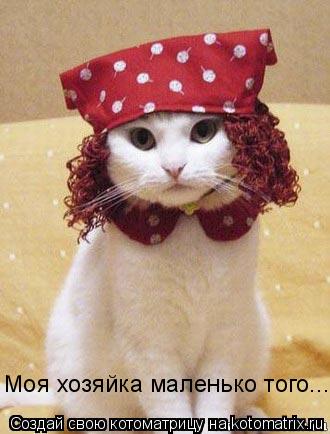 Котоматрица: Моя хозяйка маленько того...