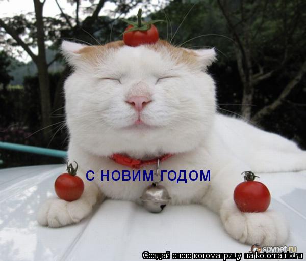 Котоматрица: с новим годом