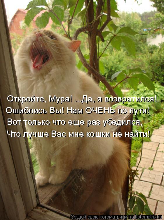 Откройте, Мура! ...Да, я возвратился! Вот только что еще раз убедился, Что лучше Вас мне кошки не най... Котоматрица: Откройте, Мура! ...Да, я возвратился! Вот только что еще раз убедился, Что лучше Вас мне кошки не найти! Ошиблись Вы! Нам ОЧЕНЬ по пути!