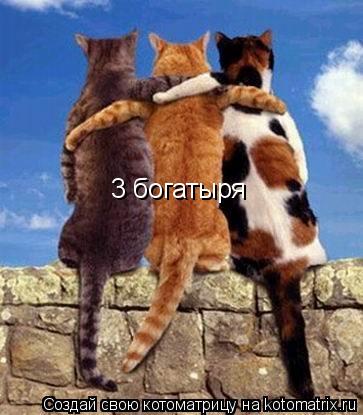 Котоматрица: 3 богатыря