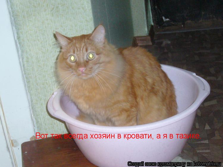 Котоматрица: Вот так всегда хозяин в кровати, а я в тазике.