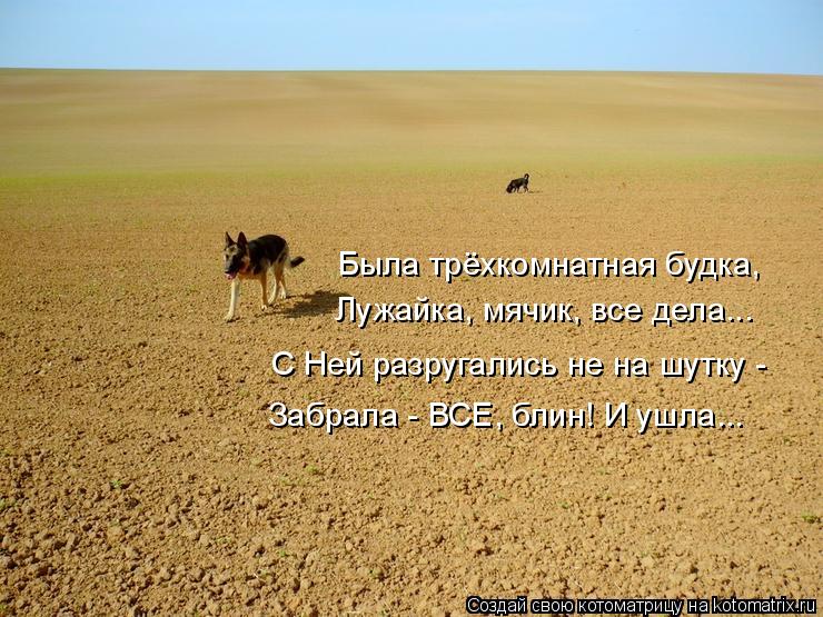 Была трёхкомнатная будка, Лужайка, мячик, все дела... С Ней разругались не на шутку - Забрала - ВСЕ, ... Котоматрица: Была трёхкомнатная будка, Лужайка, мячик, все дела... С Ней разругались не на шутку - Забрала - ВСЕ, блин! И ушла...