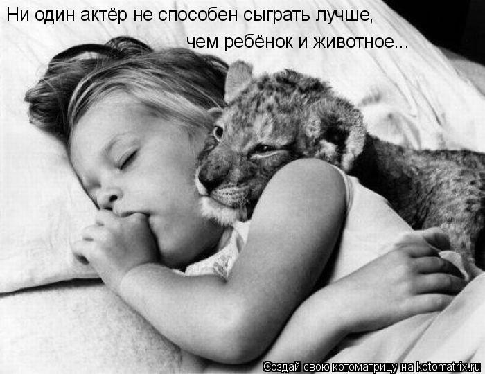 Котоматрица: чем ребёнок и животное... Ни один актёр не способен сыграть лучше,