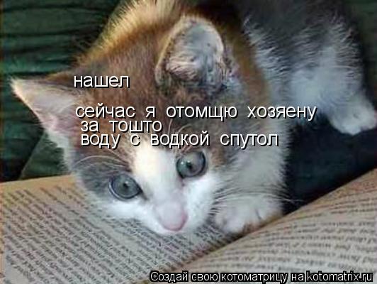 Котоматрица: нашел сейчас  я  отомщю  хозяену воду  с  водкой  спутол  за  тошто