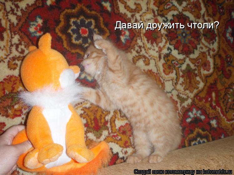 Котоматрица: Давай дружить чтоли?