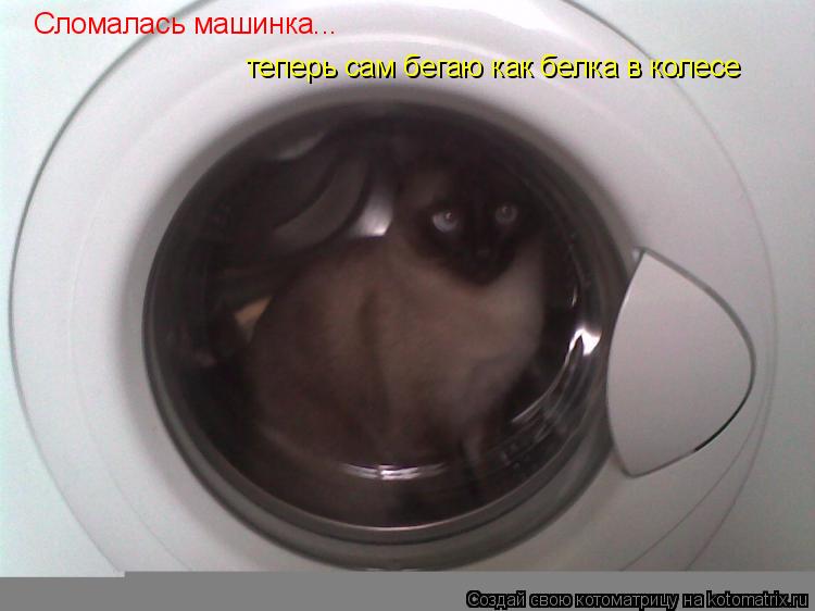 Сломалась машинка... теперь сам бегаю как белка в колесе... Котоматрица: Сломалась машинка... теперь сам бегаю как белка в колесе