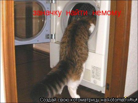 Котоматрица: заначку  найти  немому