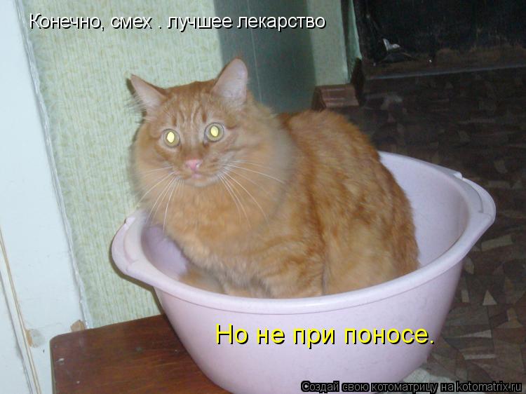 Котоматрица: Конечно, смех – лучшее лекарство Но не при поносе.