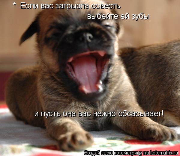 Котоматрица: *  Если вас загрызла совесть  выбейте ей зубы и пусть она вас нежно обсасывает!