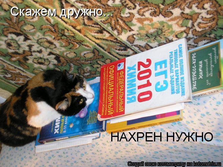 Котоматрица: Скажем дружно... НАХРЕН НУЖНО