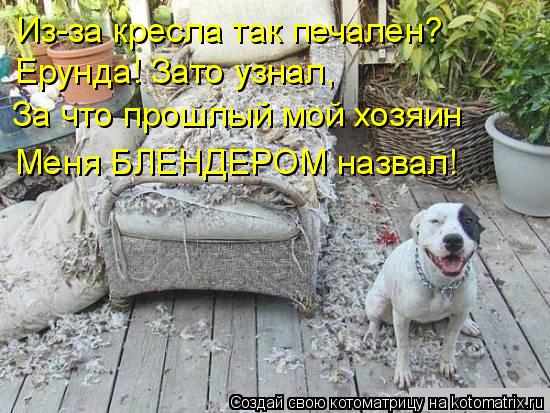 Из-за кресла так печален? Ерунда! Зато узнал, За что прошлый мой хозяин Меня БЛЕНДЕРОМ назвал!... Котоматрица: Из-за кресла так печален? Ерунда! Зато узнал, За что прошлый мой хозяин Меня БЛЕНДЕРОМ назвал!