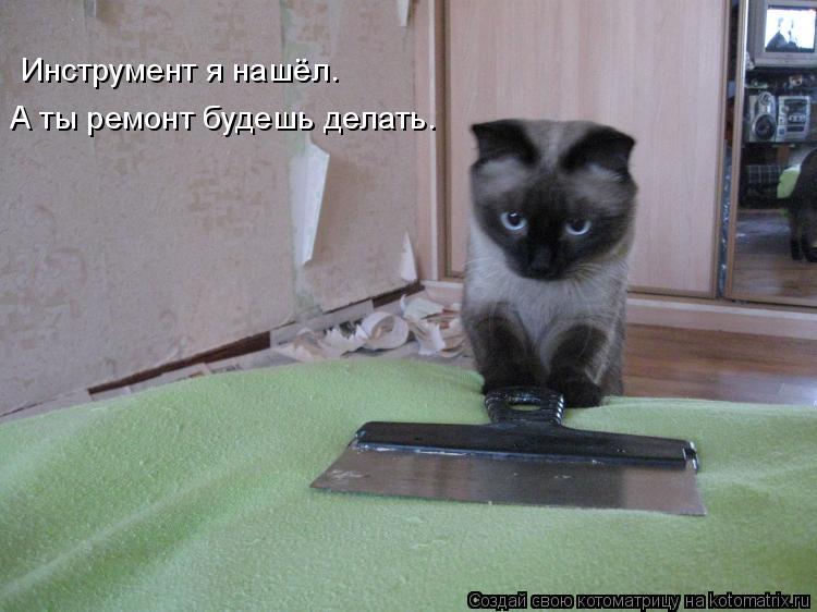 Инструмент я нашёл. А ты ремонт будешь делать.... Котоматрица: Инструмент я нашёл. А ты ремонт будешь делать.