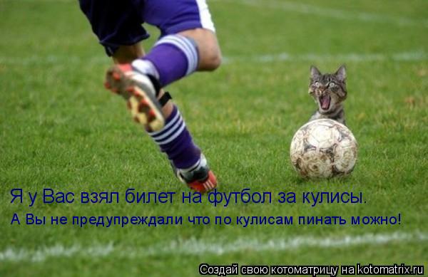 Я у Вас взял билет на футбол за кулисы. А Вы не предупреждали что по кулисам пинать можно!... Котоматрица: Я у Вас взял билет на футбол за кулисы. А Вы не предупреждали что по кулисам пинать можно!