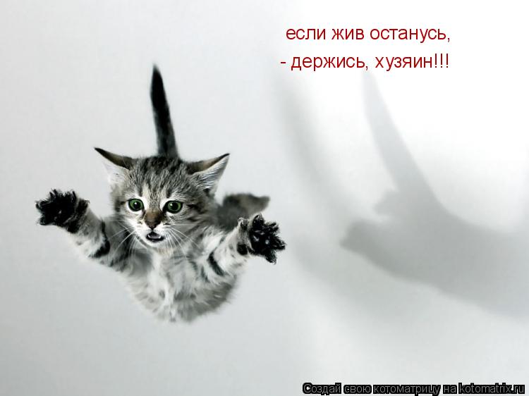 если жив останусь, - держись, хузяин!!!... Котоматрица: если жив останусь, - держись, хузяин!!!