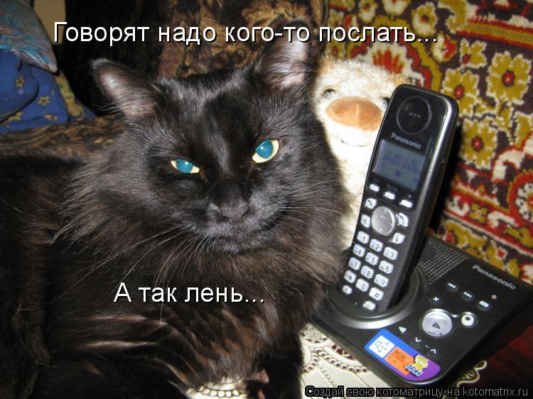 Говорят надо кого-то послать... А так лень...... Котоматрица: Говорят надо кого-то послать... А так лень...
