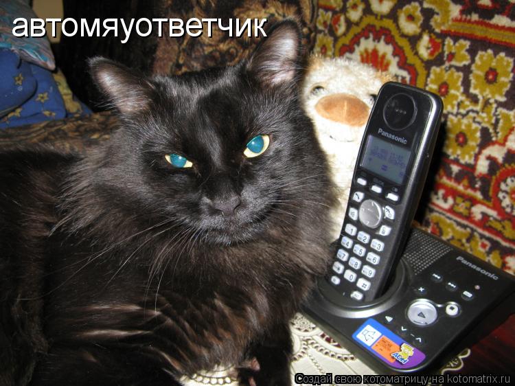 автомяуответчик... Котоматрица: автомяуответчик