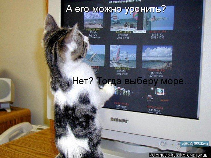 Котоматрица: А его можно уронить? Нет? Тогда выберу море...
