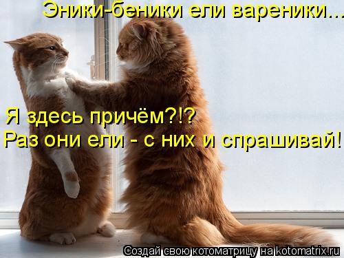 Эники-беники ели вареники... Раз они ели - с них и спрашивай! Я здесь причём?!?... Котоматрица: Эники-беники ели вареники... Раз они ели - с них и спрашивай! Я здесь причём?!?