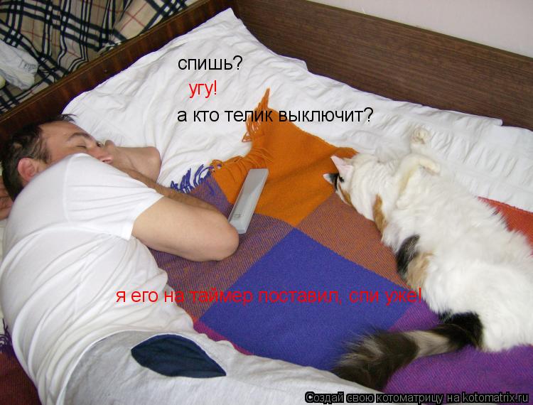 Котоматрица: спишь?  угу! а кто телик выключит? я его на таймер поставил, спи уже!