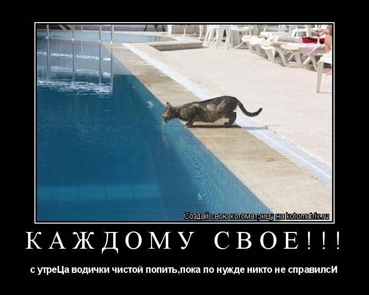 Каждому своё!!! с утреЦа водички чистой попить,пока по нужде никто не справилсИ... Котоматрица: Каждому своё!!! с утреЦа водички чистой попить,пока по нужде никто не справилсИ