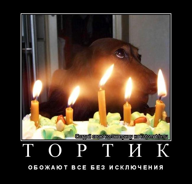 Т О Р Т И К О Б О Ж А Ю Т В С Е Б Е З И С К Л Ю Ч Е Н И Я... Котоматрица: Т О Р Т И К О Б О Ж А Ю Т В С Е Б Е З И С К Л Ю Ч Е Н И Я