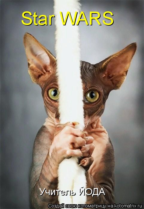 Котоматрица: Star WARS Учитель ЙОДА