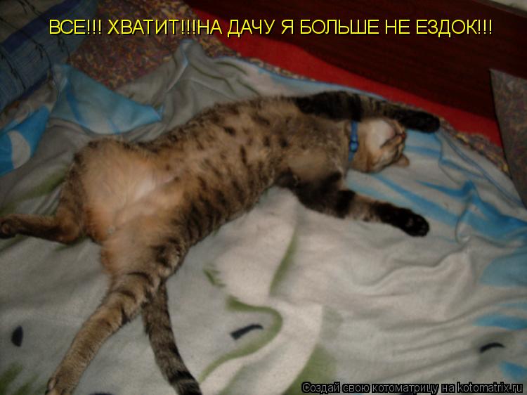 Котоматрица: ВСЕ!!! ХВАТИТ!!!НА ДАЧУ Я БОЛЬШЕ НЕ ЕЗДОК!!!