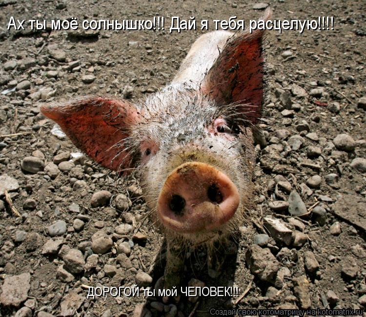 Котоматрица: ДОРОГОЙ ты мой ЧЕЛОВЕК!!! Ах ты моё солнышко!!! Дай я тебя расцелую!!!!