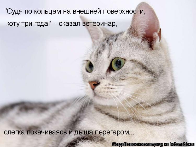 Котоматрица: "Cудя по кольцам на внешней поверхности, коту три года!" - сказал ветеринар,  слегка покачиваясь и дыша перегаром...