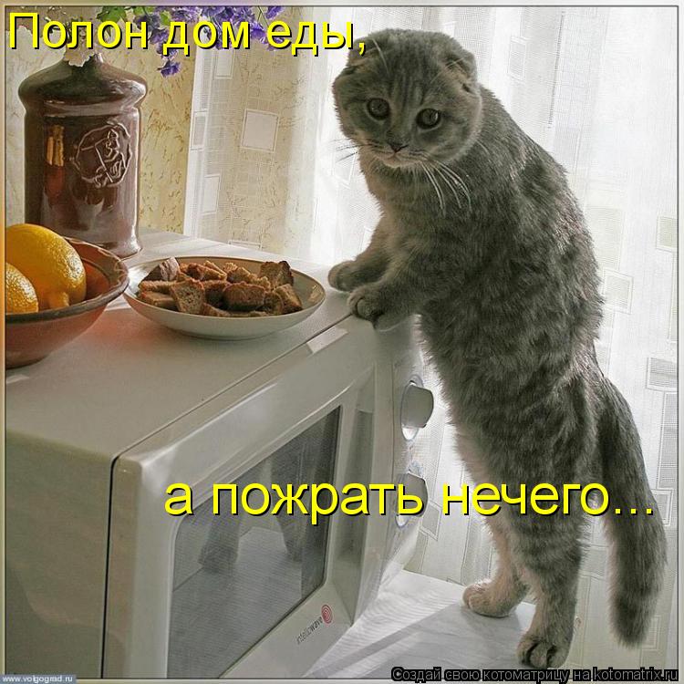 Котоматрица: а пожрать нечего... Полон дом еды,