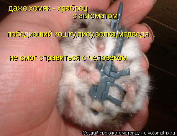 Котоматрица: даже хомяк - храбрец с автоматом победивший кошку,лису,волка,медведя... не смог справиться с человеком