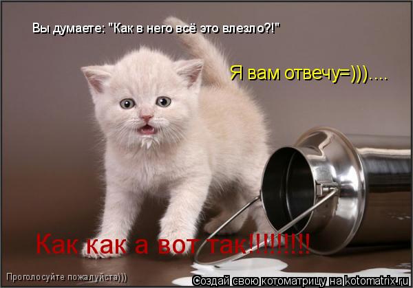 Вы думаете: "Как в него всё это влезло?!" Я вам отвечу=))).... Как как а вот так!!!!!!!!! Проголосуйт... Котоматрица: Вы думаете: "Как в него всё это влезло?!" Я вам отвечу=))).... Как как а вот так!!!!!!!!! Проголосуйте пожалуйста)))