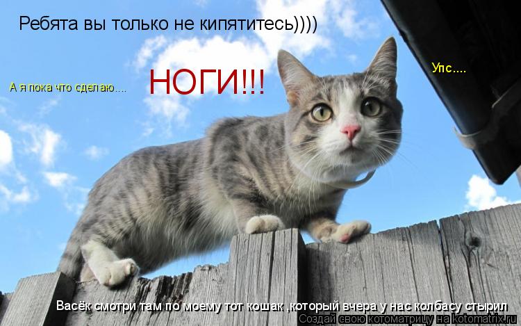 Васёк смотри там по моему тот кошак ,который вчера у нас колбасу стырил Упс.... Ребята вы только не к... Котоматрица: Васёк смотри там по моему тот кошак ,который вчера у нас колбасу стырил Упс.... Ребята вы только не кипятитесь)))) А я пока что сделаю.... НОГИ!!!