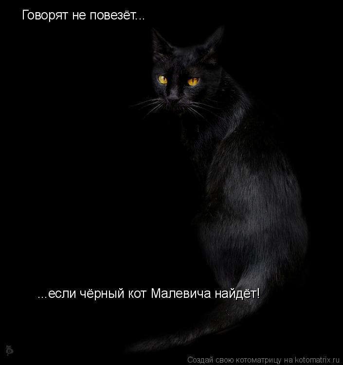 Котоматрица: Говорят не повезёт... ...если чёрный кот Малевича найдёт!