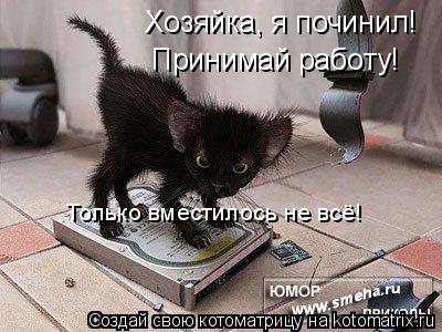Хозяйка, я починил! Принимай работу! Только вместилось не всё!... Котоматрица: Хозяйка, я починил! Принимай работу! Только вместилось не всё!