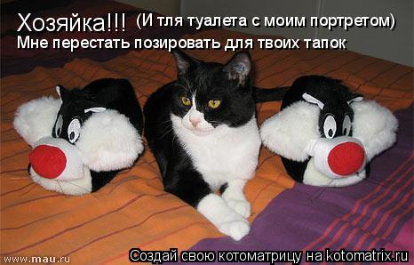 Хозяйка!!! Мне перестать позировать для твоих тапок (И тля туалета с моим портретом)... Котоматрица: Хозяйка!!! Мне перестать позировать для твоих тапок (И тля туалета с моим портретом)