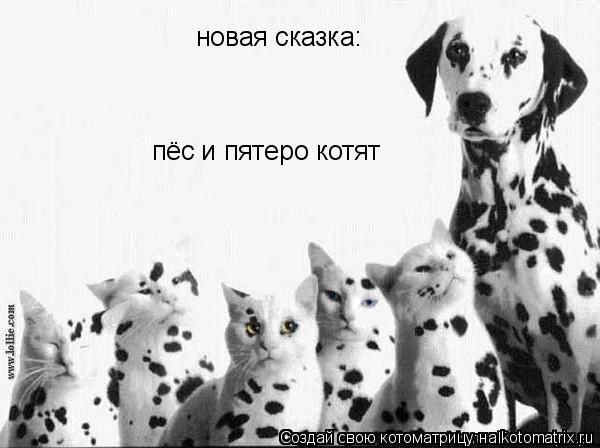 новая сказка: пёс и пятеро котят... Котоматрица: новая сказка: пёс и пятеро котят