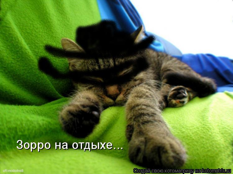 Котоматрица: Зорро на отдыхе...