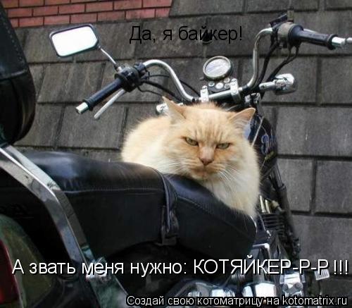 Котоматрица: Да, я байкер!  А звать меня нужно: КОТЯЙКЕР-Р-Р !!!