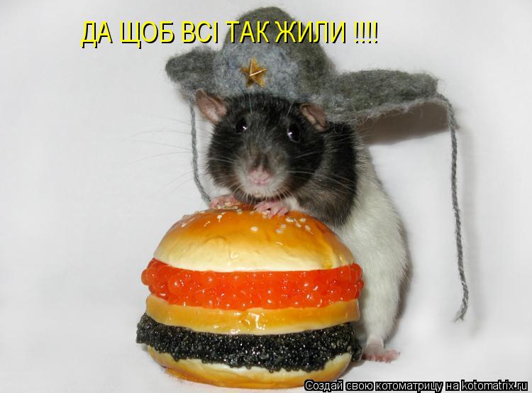 Котоматрица: ДА ЩОБ ВСI ТАК ЖИЛИ !!!!