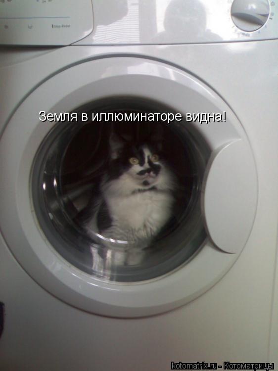 Котоматрица: Земля в иллюминаторе видна!