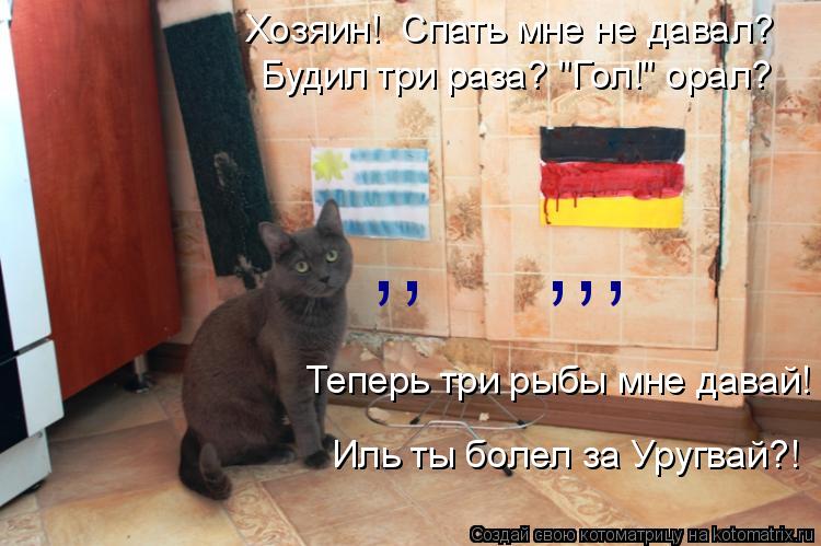 Иль ты болел за Уругвай?! ,, ,,, Хозяин! Спать мне не давал? Будил три раза? "Гол!" орал? Теперь... Котоматрица: Иль ты болел за Уругвай?! ,, ,,, Хозяин! Спать мне не давал? Будил три раза? "Гол!" орал? Теперь три рыбы мне давай!