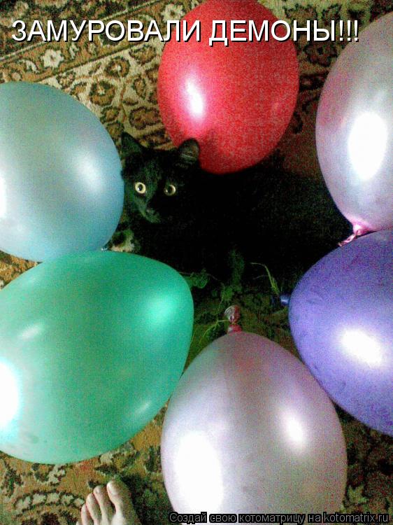 Котоматрица: ЗАМУРОВАЛИ ДЕМОНЫ!!!