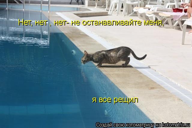 Котоматрица: Нет, нет , нет- не останавливайте меня,  я все рещил