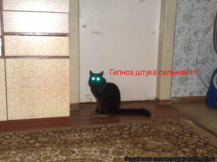 Котоматрица: Гипноз,штука сильная!!!!