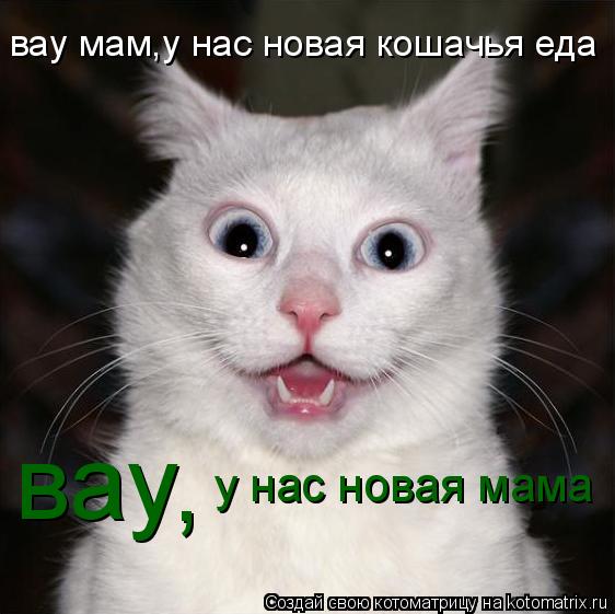 Котоматрица: вау мам,у нас новая кошачья еда вау у нас новая мама ,