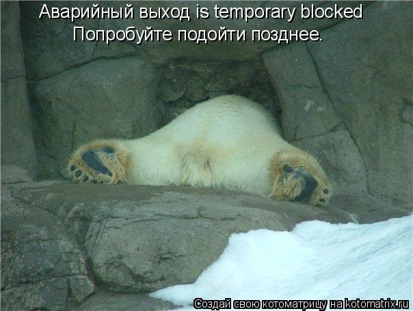 Котоматрица: Аварийный выход is temporary blocked Попробуйте подойти позднее.